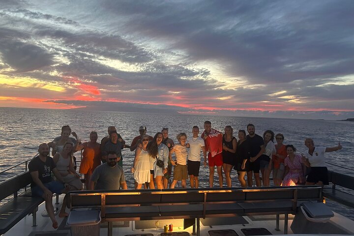 Whale and Dolphin Watching Catamaran with Transfer and Buffet