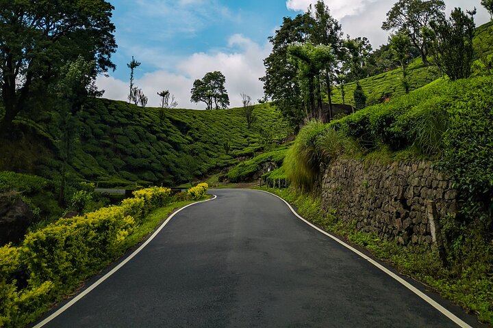 Green Magic Day Tour to Munnar