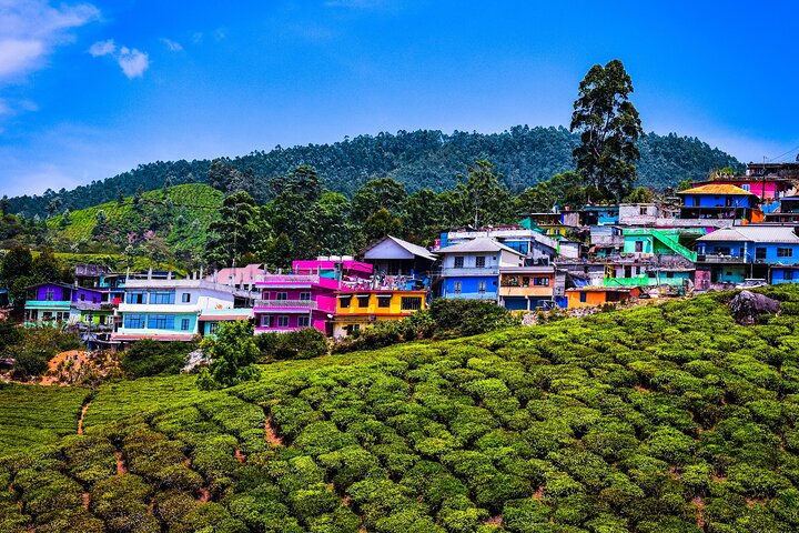 Green Magic Day Tour to Munnar