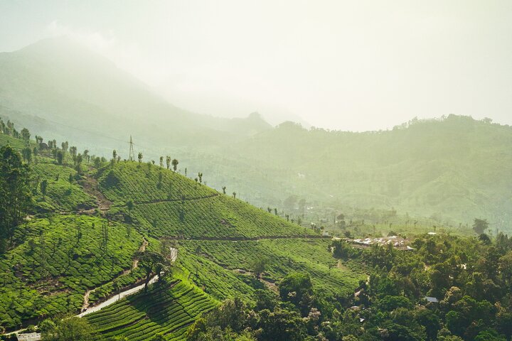 Green Magic Day Tour to Munnar