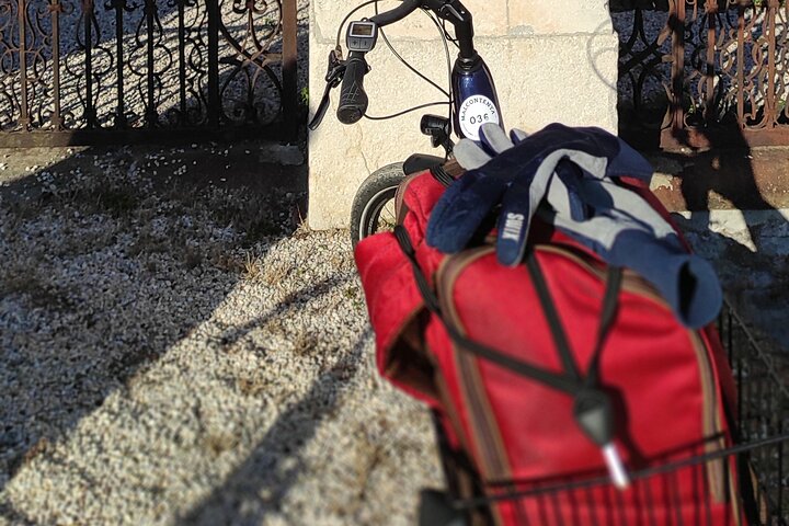 Unesco Palladian Villas in Vicenza: E-Bike private tour with picnic and aperitif