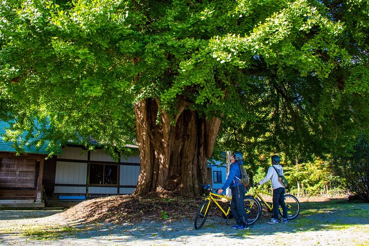 3 Hour Cycling Tour in Kakunodate