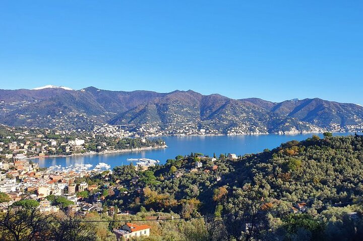 Portofino and Santa Margherita Private Tour of Ligurian Gems