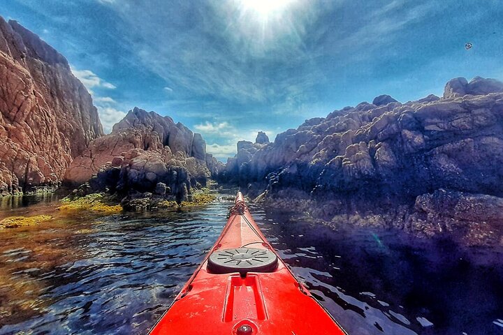 Costa Brava: Sea Kayak Tour to Rats Penats Cave (8:15 AM)