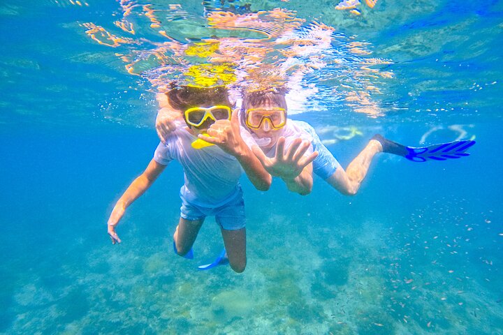 Full-Day Special Wasini Island Tour with Snorkeling and Lunch