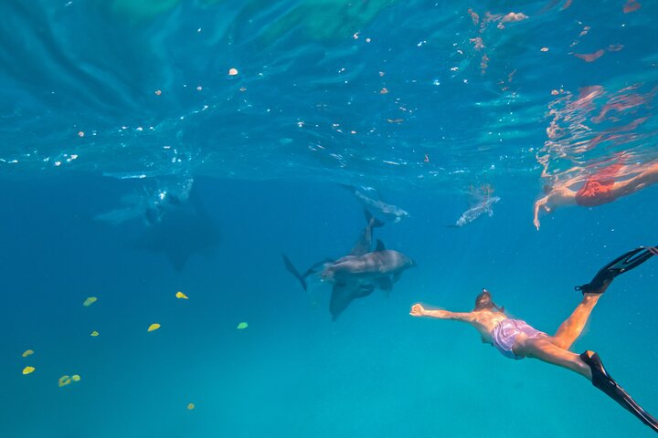 Full-Day Special Wasini Island Tour with Snorkeling and Lunch