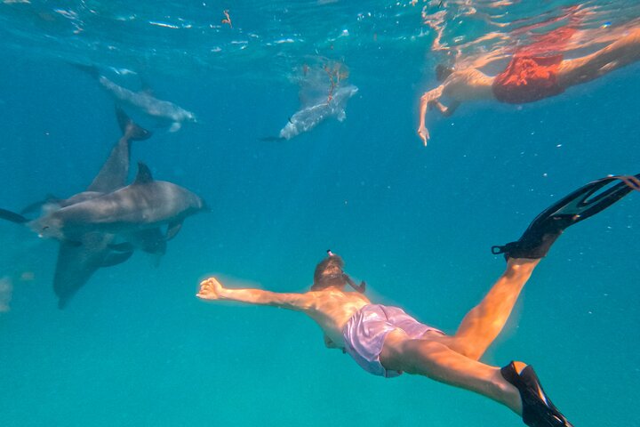 Full-Day Special Wasini Island Tour with Snorkeling and Lunch