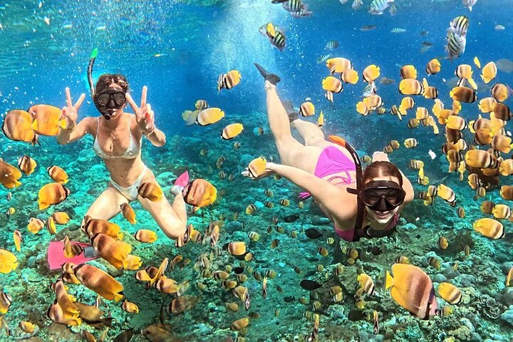 Snorkeling Manta Ray Safari in Nusa Penida