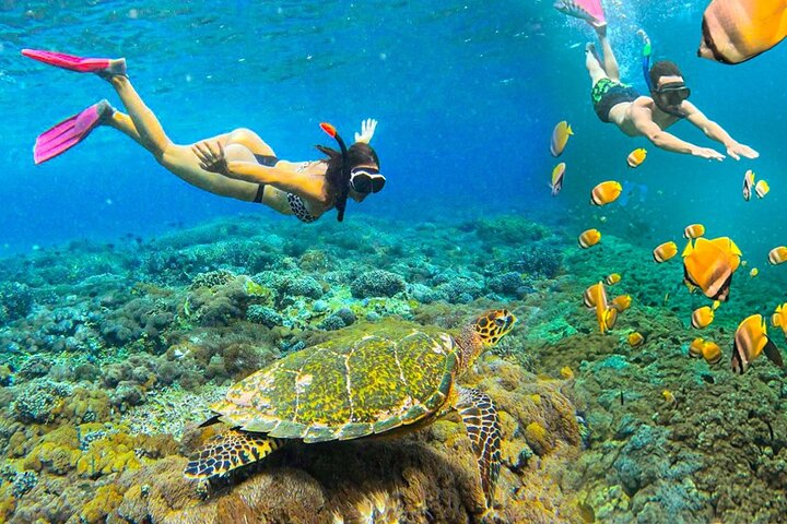Snorkeling Manta Ray Safari in Nusa Penida