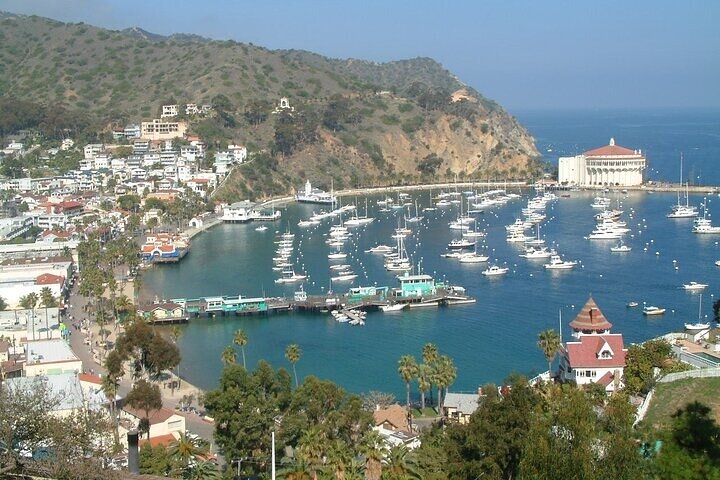 Catalina Island 2-Hour Inside Adventure Tour