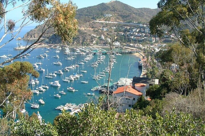 Catalina Island 2-Hour Inside Adventure Tour