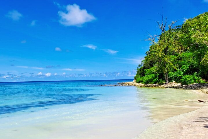 4h Antigua Must-Do: Stingray City & Long Bay Beach