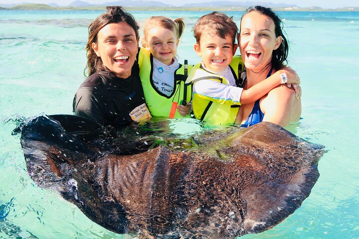 Antigua Stingray Experience with Hotel Pickup & Local Guide