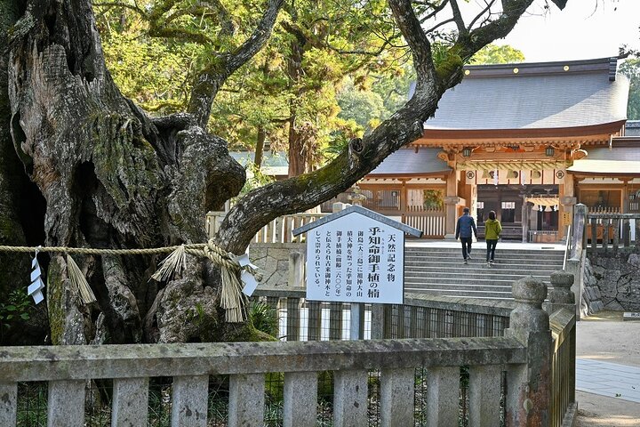 6 Hour Private E bike Tour on Omishima