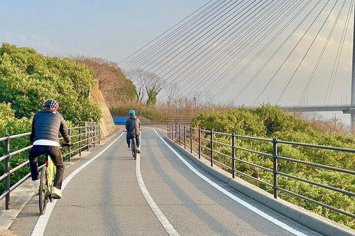 6 Hour Private E bike Tour on Omishima