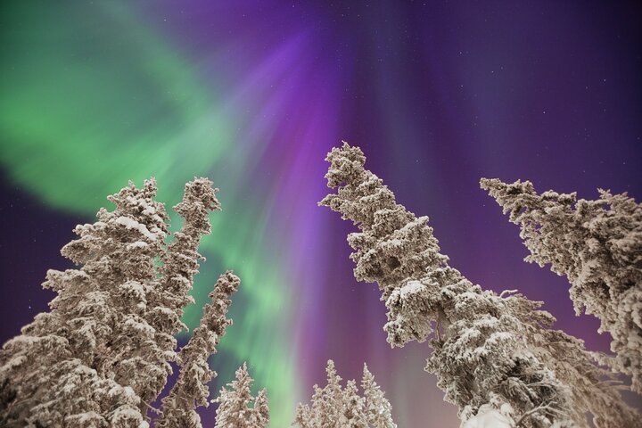 Small Group Yukon Aurora Viewing