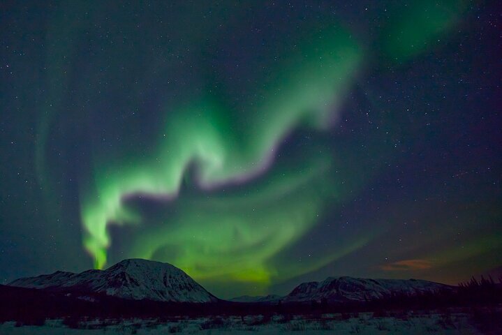 Small Group Yukon Aurora Viewing
