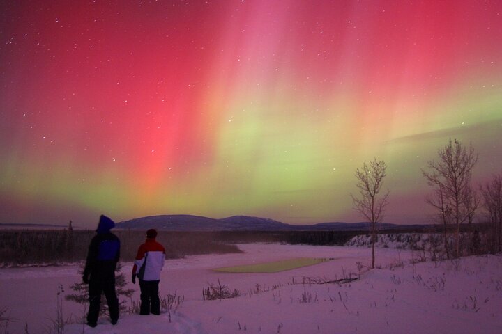 Small Group Yukon Aurora Viewing