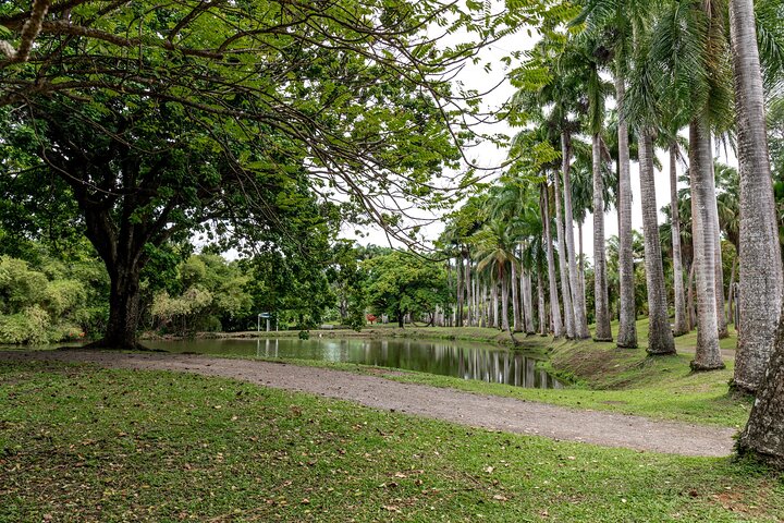 Half Day Private Custom Tour of Martinique