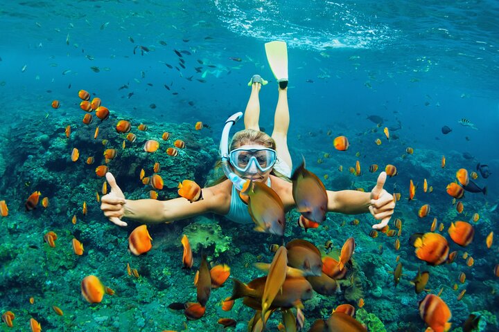 Diving and Snorkeling Catamaran Private Tour in Martinique