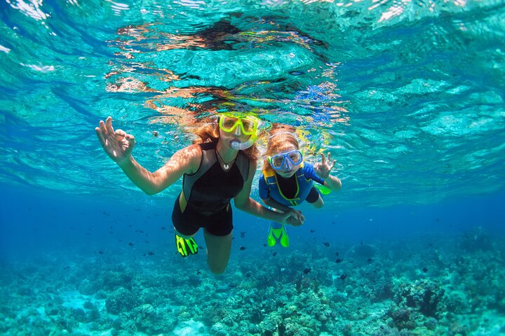 Diving and Snorkeling Catamaran Private Tour in Martinique