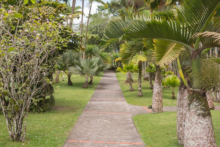 Tropical Island Private Tour of Martinique