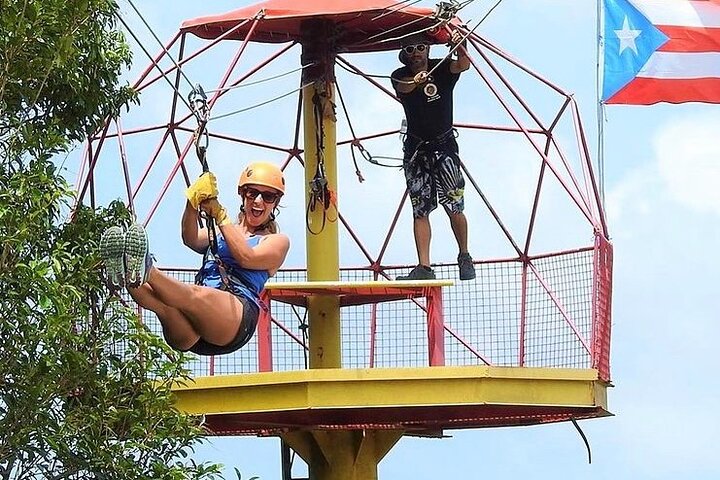 Rainforest Zipline in Foothills of the National Rainforest