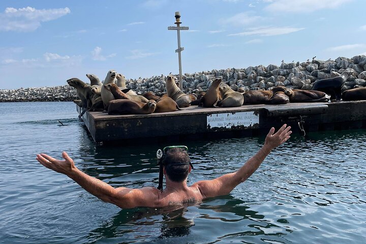 Kayak with Sea Lions in a Calm, Beautiful, Redondo Beach Harbor