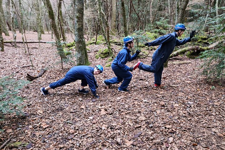 Exploring Mt Fuji Ice Cave and Sea of Trees Forest