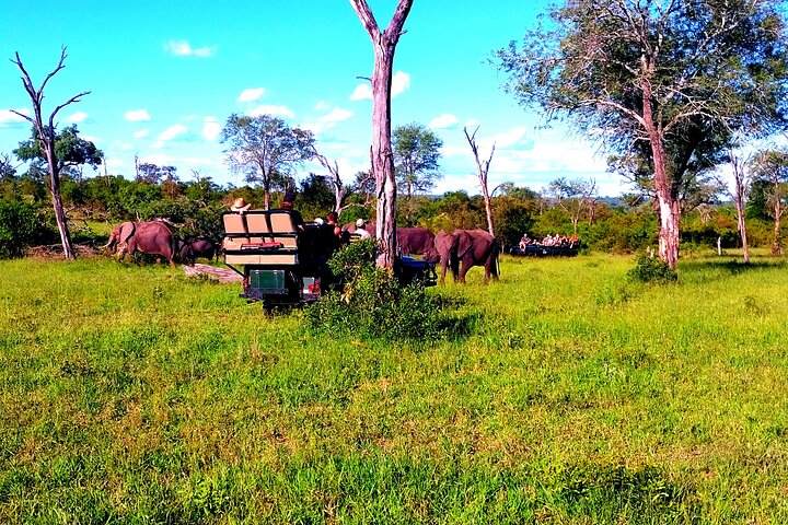 Sabi Sand Sunset Safari