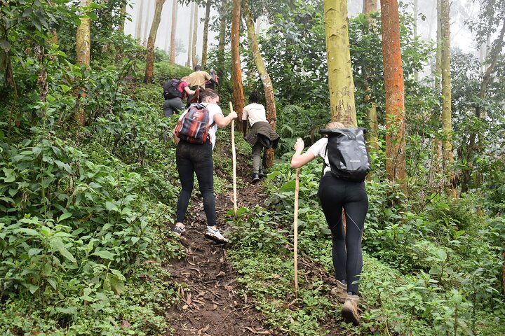 Local hills hiking