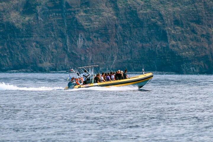 Madeira Dolphin & Whale Watching Tour