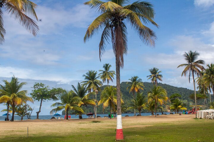 Hidden Gem: Avocat Waterfall Hike & Beach Stop in Trinidad