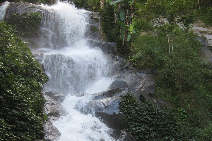 Full Day Group Tour in Chiang Rai
