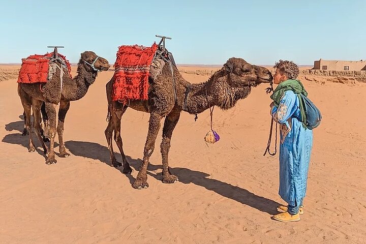Overnight From Erfoud to Erg Chebbi Merzouga with Camel Ride
