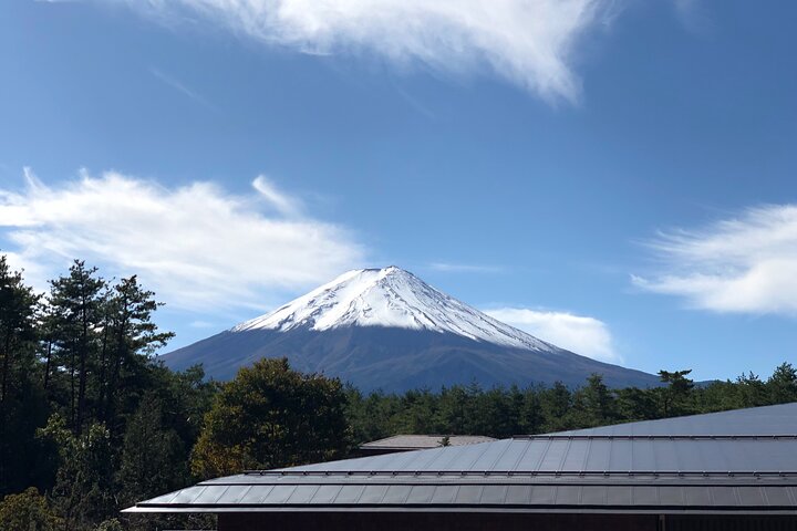 Mt. Fuji & Hakone Bus Tour Bullet Train Return & 28-Hotel Pick-up