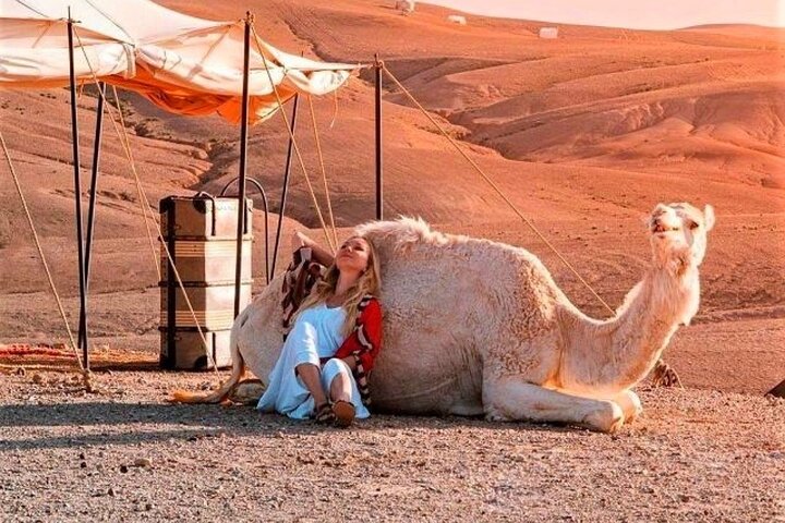 Agafay Desert: Dinner Show with Quad Bike and Sunset Camel Ride