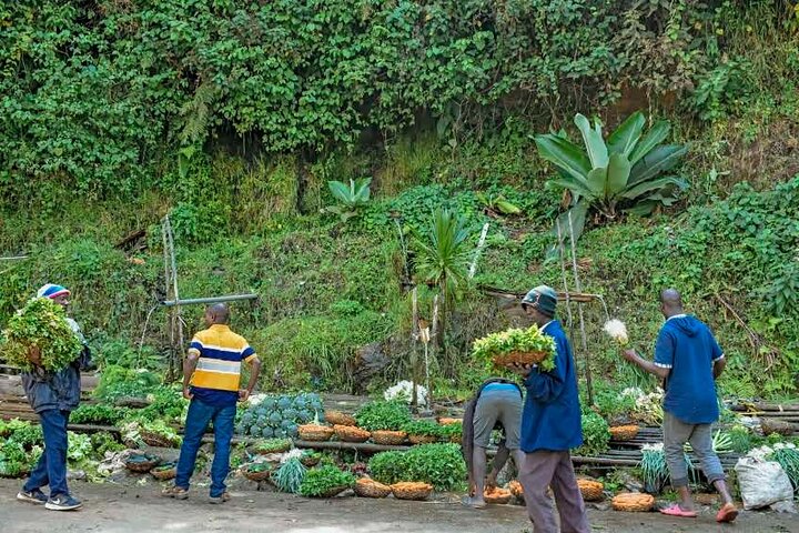 5 Days Private Tour in Burundi and discover 10 Top Sites Tourist