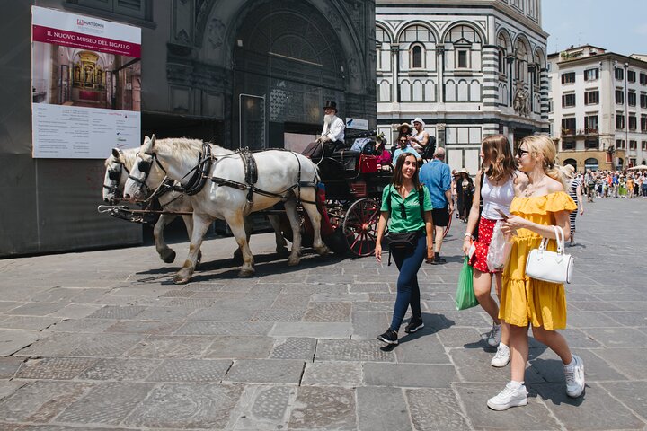 Livorno Shore Excursion: Florence & Pisa with Accademia and Tower