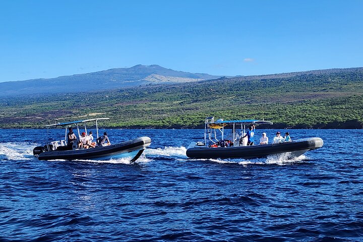 Manta Ray Night Snorkel at Kona, Big Island