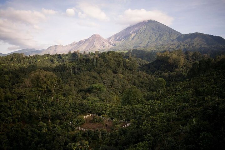Private Xela Wellness Immersion in Guatemala