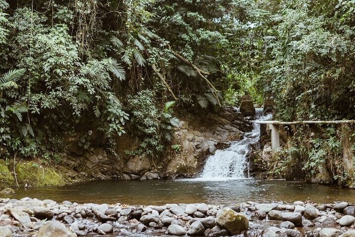 Private Xela Wellness Immersion in Guatemala