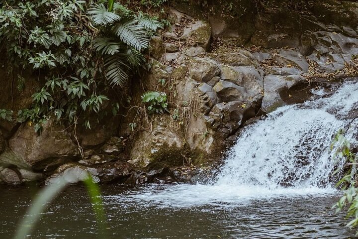 Private Xela Wellness Immersion in Guatemala