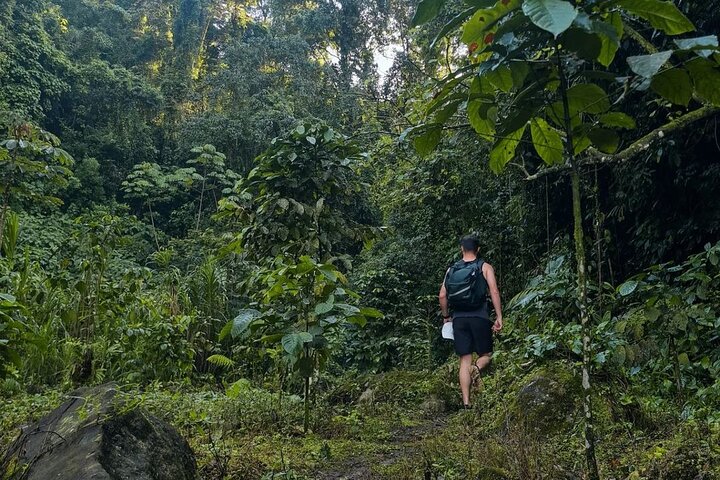 Private Xela Wellness Immersion in Guatemala