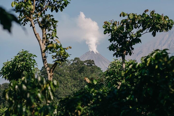 Private Xela Wellness Immersion in Guatemala