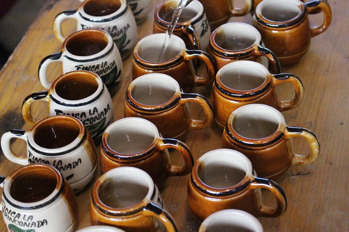Coffee tour in Medellín with tastings and transportation