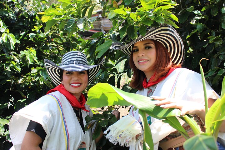 Coffee tour in Medellín with tastings and transportation
