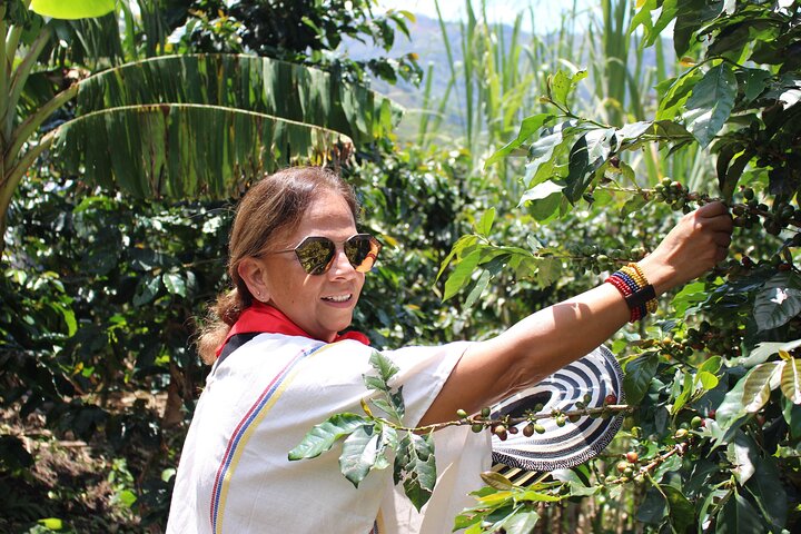 Coffee tour in Medellín with tastings and transportation