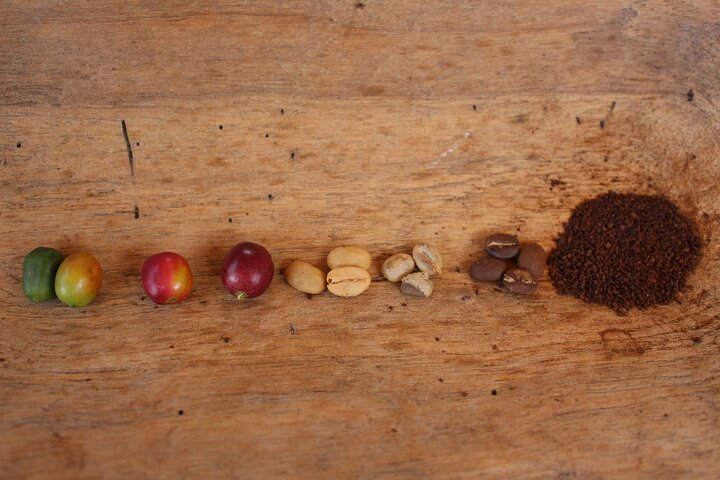 Coffee tour in Medellín with tastings and transportation