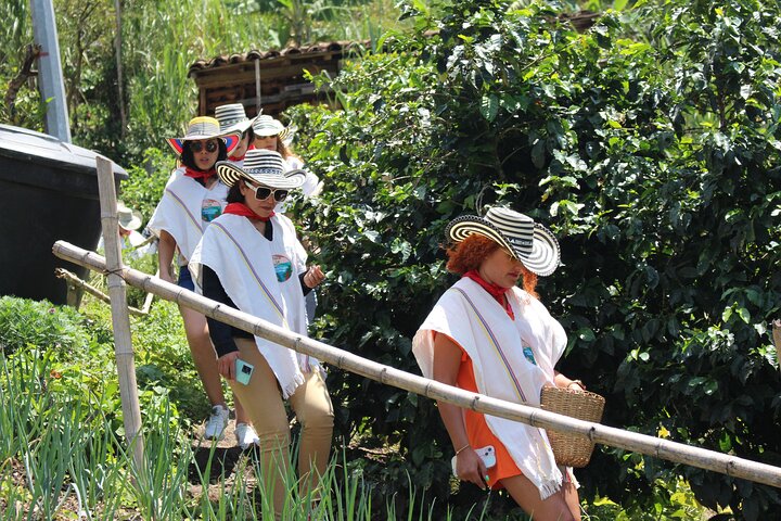 Coffee tour in Medellín with tastings and transportation